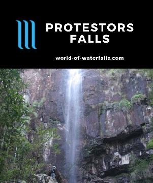 Protesters Falls (or Protestors Falls) is a 25-30m waterfall on Terania Creek in ancient Gondwana Rainforest in Nightcap National Park reached by a flat walk.