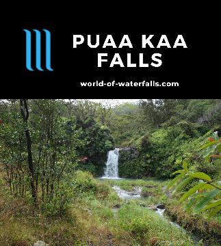 Puaa Kaa Falls (or Pua'a Ka'a Falls) resides in the Pua'a Ka'a State Park, which makes it one of the rare waterfalls where public access is actually welcome.