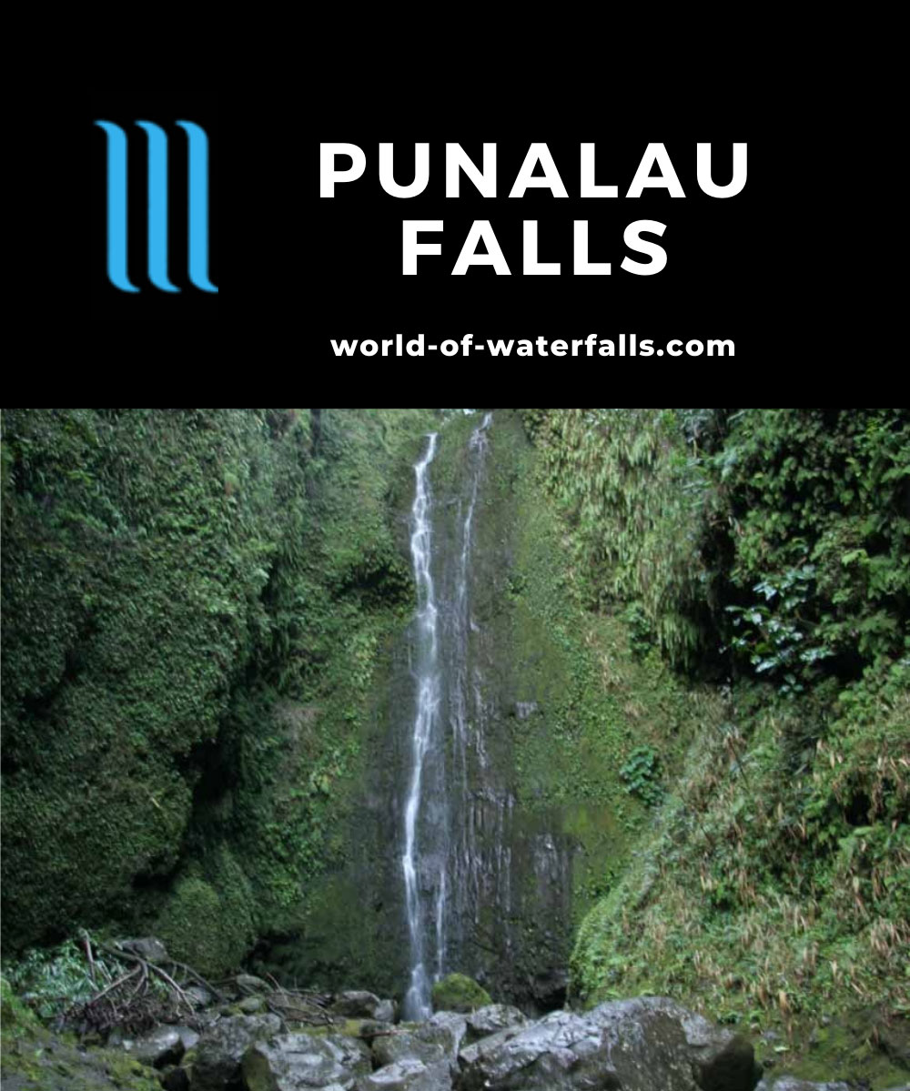 Punalau_Falls_004_02232007 - Punalau Falls