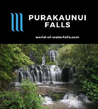 Purakaunui Falls is a three-tiered 15m waterfall that is popular because it's photogenic and easy to access by a 10-minute walk in the Catlins in Otago, NZ.