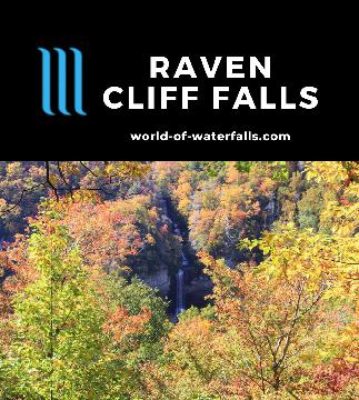 Raven Cliff Falls is a 420ft waterfall on Matthews Creek said to be South Carolina's tallest, which we saw after a 4.4-mile RT hike to a distant lookout.