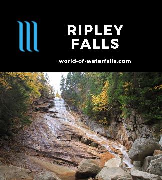 Ripley Falls is a 100ft sloping waterfall on the Avalanche Brook reached by a 1.2-mile round-trip hike in White Mountain National Forest near North Conway, NH.