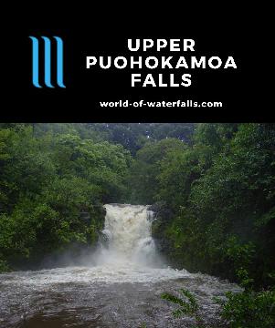 Upper Puohokamoa Falls is a 30ft waterfall dropping into a large and accessible plunge pool, but slip-and-fall lawsuits have prohibited direct access.