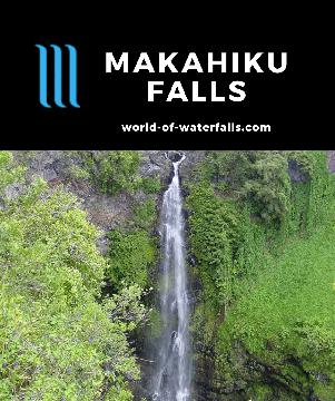 Makahiku Falls is a 184ft waterfall along the Pipiwai Trail in Oheo Gulch in East Maui. In calm conditions, its top can act as a scenic swimming hole.