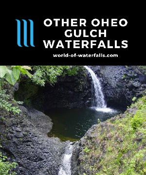 Oheo Gulch has several smaller and lesser known waterfalls found along the Pipiwai Trail. This page showcases the rest of these intermediate waterfalls.