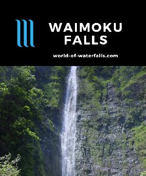 Waimoku Falls is a 400ft waterfall at the end of the 4-mile round-trip Pipiwai Trail in the Kipahulu District of Haleakala National Park in East Maui.