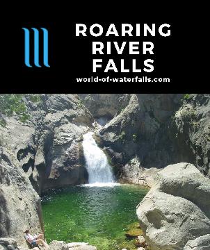 Roaring River Falls is a 15ft waterfall where we found less is more. It's a misty mess in the Spring, but in Summer, it spills into an emerald-colored pool.