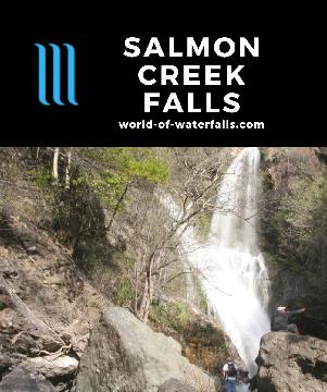 Salmon Creek Falls was one of the must-see waterfalls on the famed Big Sur Coast along Hwy 1. A short 1/4-mile trail brought us close to its 120ft drop.