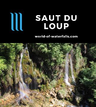 Saut du Loup is a series of disjoint springs spilling into the rugged Loup Gorge in the hinterlands of the French Riviera (Cote d'Azur) near Cannes and Nice.