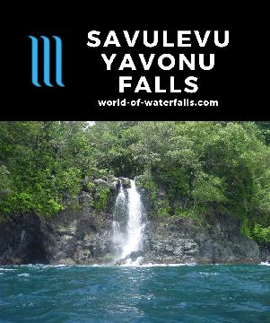 The Savulevu Yavonu Waterfall is a 20m waterfall that falls directly into the seas off the Ravilevu Coast in Taveuni accessible only by boat in calm waters.