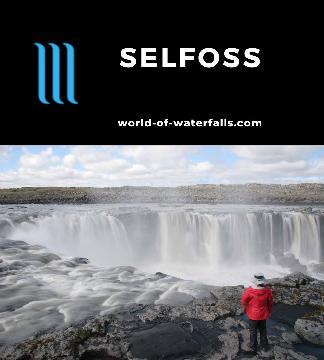 Selfoss is an 11m horseshoe-shaped waterfall on Jökulsá á Fjöllum River upstream from the mighty Dettifoss reached by a slight extension of the Dettifoss hike.