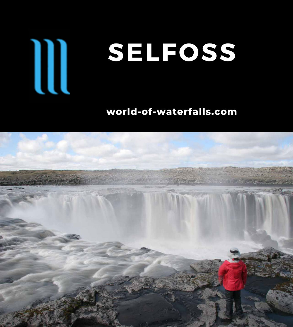 selfloss rss