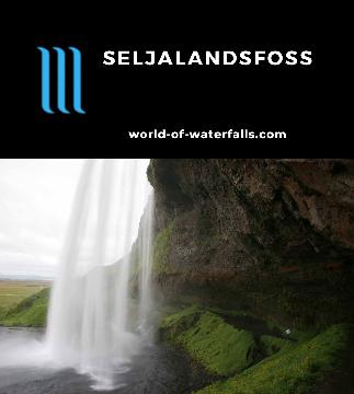 Seljalandsfoss is a 60m waterfall with a deep alcove that allows you to go behind it. Its conspicuous presence along the Ring Road means you can't miss it.