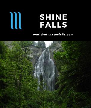 Shine Falls is a 58m waterfall said to be the Hawke's Bay Region's tallest. We accessed it on a scenic 1 hour 45 minute bush walk starting in a paddock.