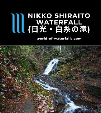 The Nikko Shiraito Waterfall (日光・白糸の滝; Nikko Shiraito Falls) was basically a waterfalling excuse to explore the area upslope of the famous Toshogu Shrine.