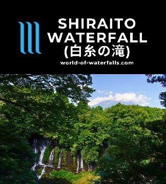 Shiraito Waterfall (白糸の滝) and Otodome Waterfall (音止の滝) sit in the west of Mt Fuji with the seeping Shiraito Falls possibly being the widest waterfall in Japan.
