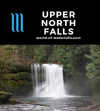 Upper North Falls is a 50ft waterfall in a compact rectangular shape reached after a short 0.2-mile walk each way in Silver Falls State Park near Salem, Oregon.
