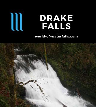 Drake Falls is a diminutive 27ft falls seen from an overlook protruding from a cliff along the Trail of Ten Falls in Silver Falls State Park near Salem, Oregon.
