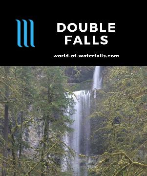 Double Falls is a surprisingly graceful waterfall that features a pair of drops with a total height of 184ft deep in Silver Falls State Park near Salem, Oregon.