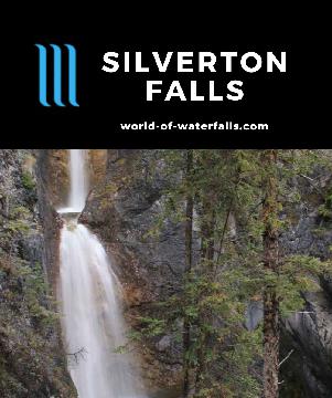 Silverton Falls is a two-tiered waterfall (maybe with more hidden tiers) reached on a quiet but also confusing 1.4km hike in Banff NP near Lake Louise, Canada.