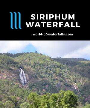 The Siriphum Waterfall is a pair of tall twin waterfalls on the slopes of Doi Inthanon. We saw them from a side road deviating from the one accessing the peak.