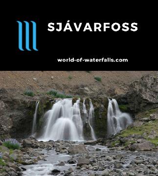 Sjavarfoss is a short roadside waterfall fronted by some wildflowers and an interesting corral fence. We stumbled upon this waterfall while pursuing Glymur.