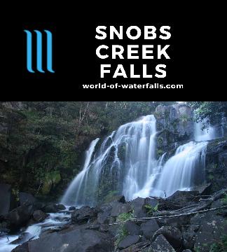 Snobs Creek Falls is a 100m waterfall with surprisingly good flow near Eildon, but the short track to its lookout only shows a small fraction of this height.