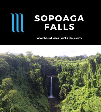 Sopoaga Falls (Sopo'aga Waterfall) is essentially a roadside waterfall as we only had to walk through a garden to the falls lookout near Apia, Upolu, Samoa.