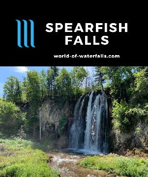 Spearfish Falls is perhaps the most attractive waterfall in Spearfish Canyon (or all the Black Hills) accessed by a short, easy trail of less than a mile.