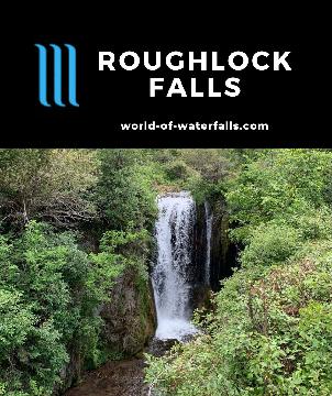 Roughlock Falls was a waterfall nearby Savoy and Spearfish Falls, but this was tucked in a scenic side canyon on Little Spearfish Creek and easily accessed.