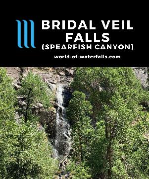 Bridal Veil Falls was a convenient 60ft roadside waterfall with a lookout platform right besides the Spearfish Canyon Scenic Byway south of Spearfish.