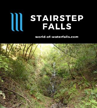 Stairstep Falls is a 40ft seasonal waterfall on a 2.4-mile RT hike that proved to be elusive in Samuel P. Taylor State Park in Marin County, California.