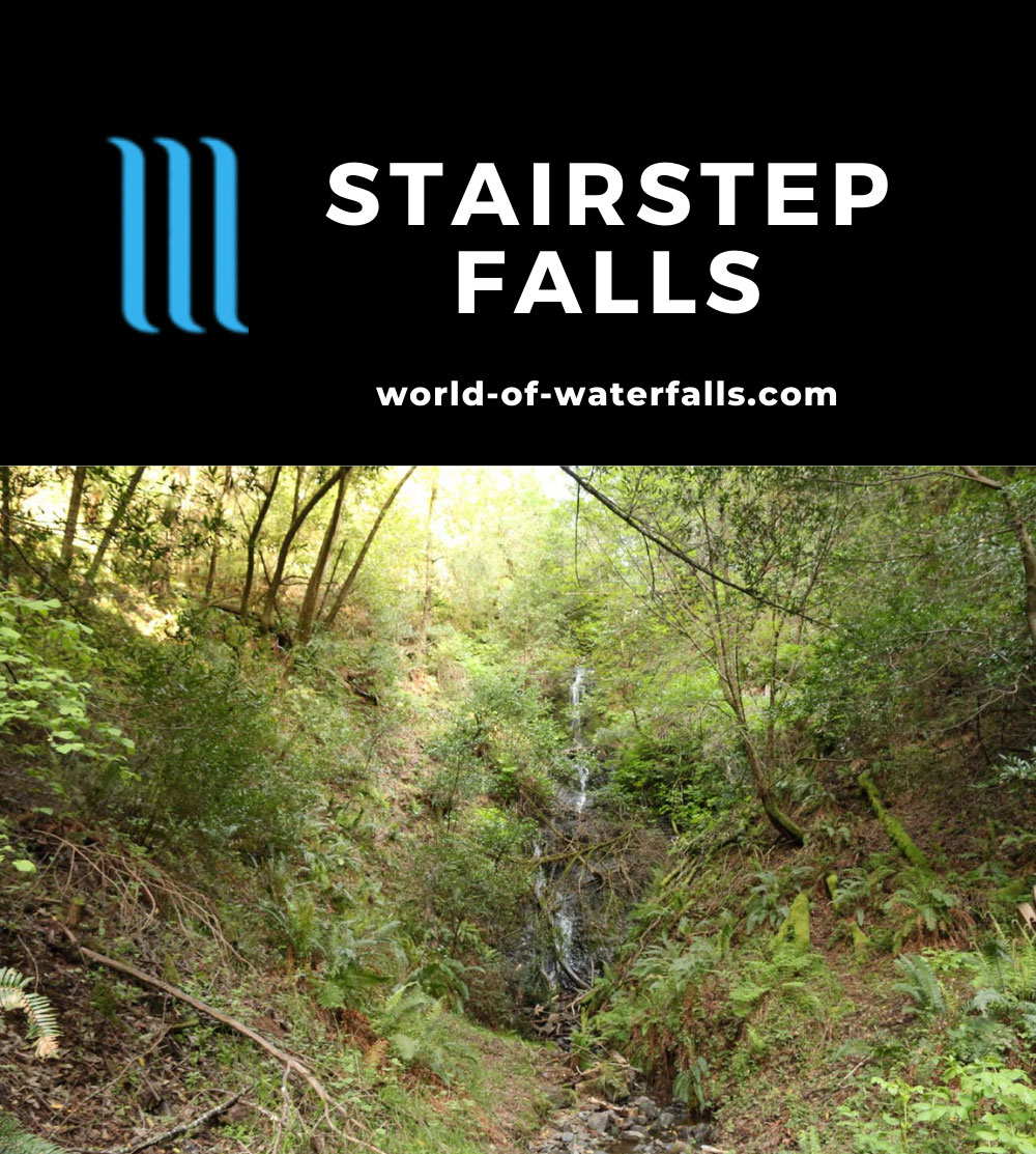 Stairstep Falls An Elusive Waterfall In Samuel P Taylor Sp