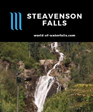 Steavenson Falls is an 84m waterfall with pretty reliable flow near Marysville, which is accessible by a well-developed track to lookouts and thus popular.