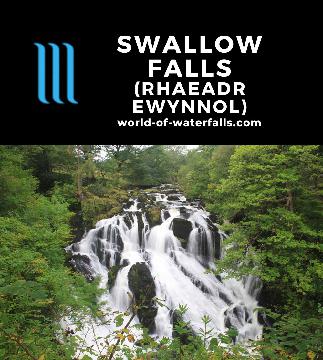 Swallow Falls (Rhaeadr Ewynnol) is a 42m waterfall on the Afon Llugwy that we visited by a short walk in Snowdonia National Park near Betws-y-Coed in Wales, UK.