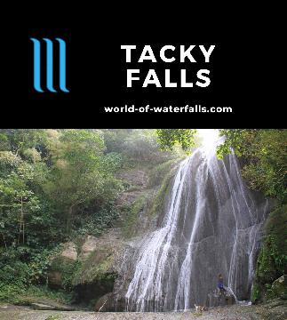 Tacky Falls is a 60m (maybe higher) two-tiered off-the-beaten-path local-guided waterfall that felt truly non-commercialized and back-to-nature in Jamaica.
