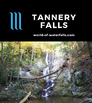 Tannery Falls is a 60-80ft waterfall on Ross Brook (which had other cascades including those on neighboring Parker Brook), accessed by rough road and hour hike.