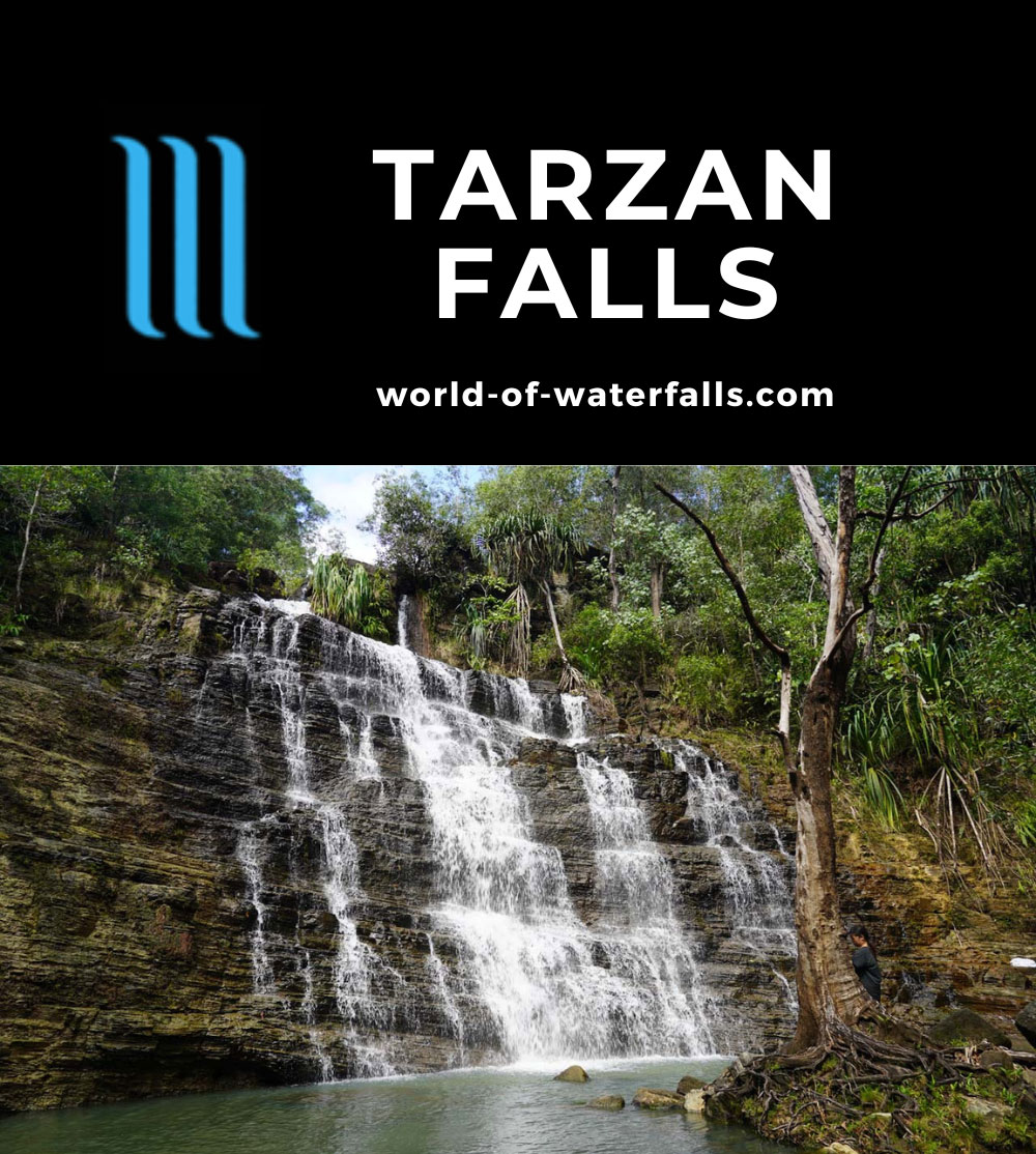 Tarzan_Falls_096_11202022 - Tarzan Falls
