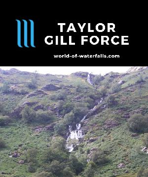 The Taylor Gill Force is a 140ft waterfall making it one of Lake District's tallest, located south of Keswick in the Borrowdale Valley by the Seathwaite Farm.