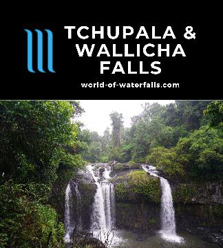 Wallicher Falls and Tchupala Falls are a pair of waterfalls at the ends of a Y-shaped route accessed from the Palmerston Hwy in Wooroonooran National Park.