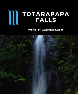 Totarapapa Falls is a roadside waterfall reportedly 45m tall in the north of the remote Te Urewera National Park near the town of Murupara, New Zealand.