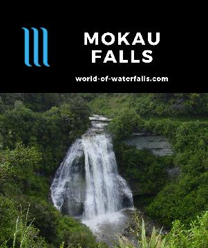 Mokau Falls is a 37m tall waterfall to the north of Lake Waikaremoana in Te Urewera National Park. We think it's the most impressive waterfall in the park.