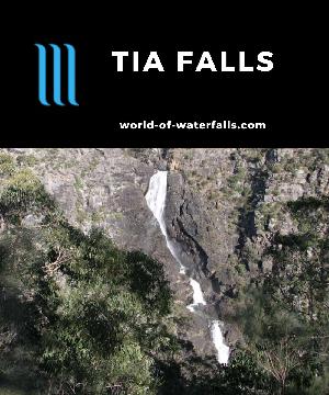 Tia Falls is a 100m waterfall with good flow and seen at a lookout via 1.5km return walk. It is perhaps the Oxley Wild Rivers Gorge's most impressive falls.