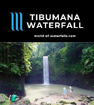 Tibumana Waterfall is a plunging waterfall with a classically tall rectangular shape. It's also pretty straightforward and easy-to-visit so it's popular.