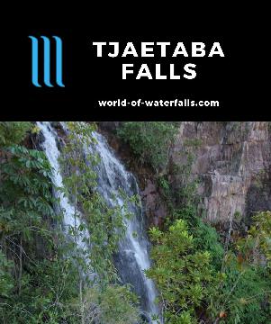 Tjaetaba Falls is a light-flowing series of waterfalls and secluded swim holes on Greenant Creek in Litchfield National Park, but offers a tranquil bush walk.