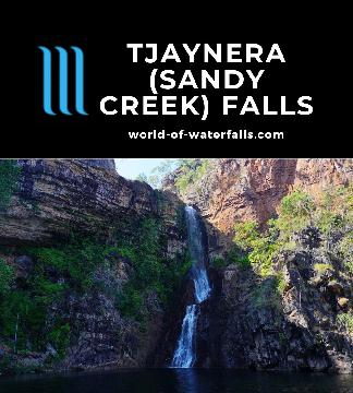 Tjaynera Falls (also called Sandy Creek Falls) was an impressive waterfall that can only be reached by a scary 4wd road followed by a 3.4km return walk.