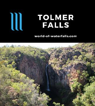 Tolmer Falls is a tall 35m waterfall in Litchfield National Park with a lookout and side trail leading to a natural bridge with rare bats and more cascades.
