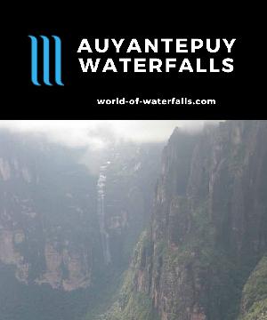The Auyantepuy Waterfalls (or Auyantepui Waterfalls) are basically waterfalls that leap off the Auyantepui plateau. While there are a few more 'permanent' waterfalls...