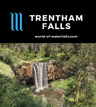 Trentham Falls is an easy-to-see classic 32m plunge waterfall over a basalt cliff in the Macedon Ranges near Daylesford within Victoria's spa and wine region.