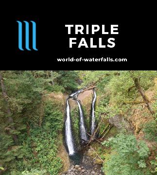 Triple Falls is a distinctive 64-100ft waterfall in the Oneonta Gorge within the Columbia River Gorge reached by a 3.6-mile round-trip gorge-hugging hike.